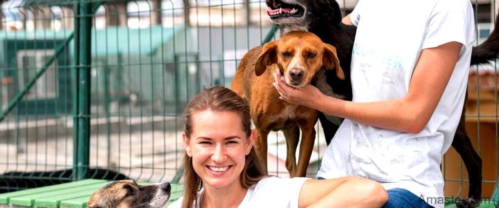 De 4 beste dierenpensions in Amsterdam