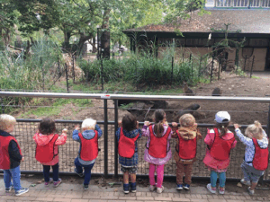 De bedrijfsnaam is curious kids