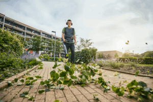 De bedrijfsnaam is Donker Groen Amsterdam