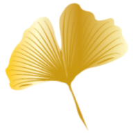 De bedrijfsnaam is flow to balance ayurveda for digestive problems