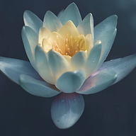 De bedrijfsnaam is higher consciousness energy