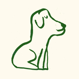 De bedrijfsnaam is Monty's Doggy Daycare