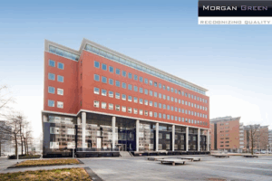 De bedrijfsnaam is Morgan Green