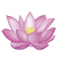 De bedrijfsnaam is nicha spa & thai massage