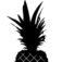 De bedrijfsnaam is Pineapple Design & Styling