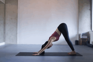 De bedrijfsnaam is pranava yoga