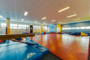 De bedrijfsnaam is the little gym Amsterdam