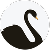 De naam van het bedrijf is Black Swan Capital EU